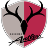町田泽维亚